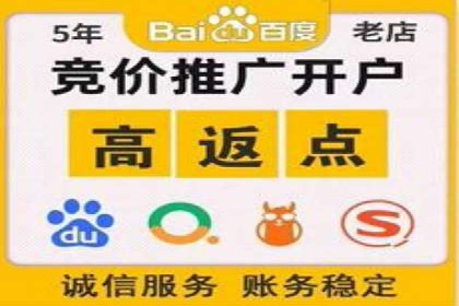 SEM代运营案例分析：精准投放策略解析